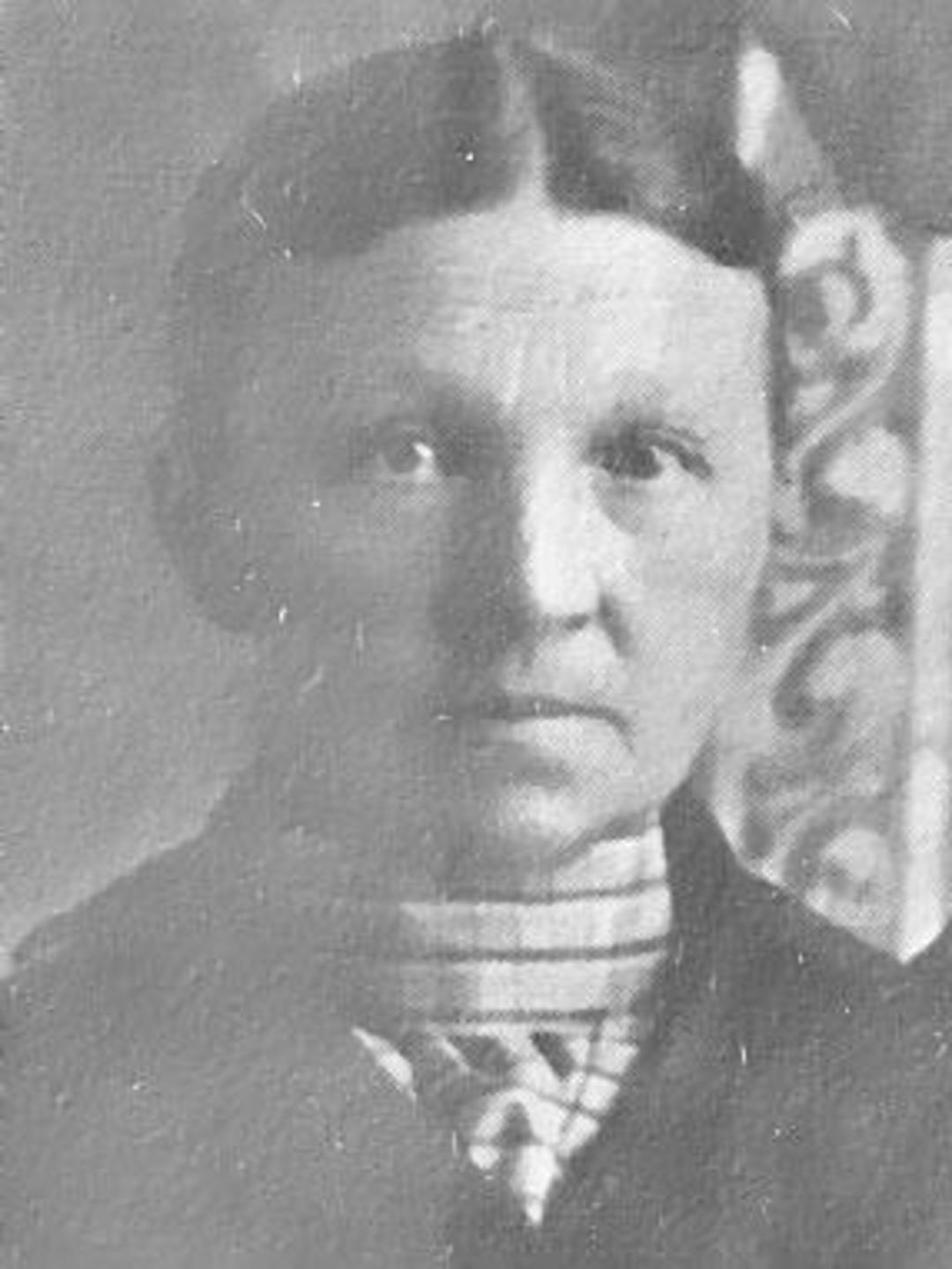 Bertha Carlsen (1846 - 1929) Profile